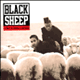 BLACK SHEEP